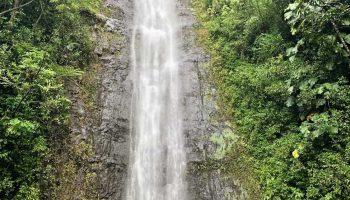 How to Make the Most of Your Trip to Waimea and Manoa Falls